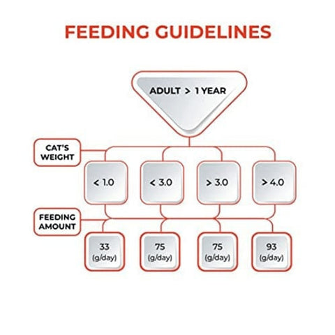 Me-O Delite Tuna with Crab Sticks in Jelly and Sheba Fish with Sasami Premium Cat Wet Food Combo Me-O Delite Tuna with Crab Sticks in Jelly and Sheba Fish with Sasami Premium Cat Wet Food Combo
