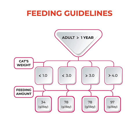 Me-O Delite Tuna with Bonito in Jelly Cat Wet Food Me-O Delite Tuna with Bonito in Jelly Cat Wet Food