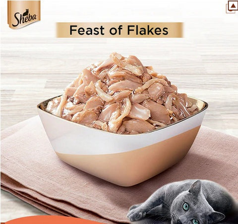 Me-O Delite Tuna with Crab Sticks in Jelly and Sheba Fish with Sasami Premium Cat Wet Food Combo Me-O Delite Tuna with Crab Sticks in Jelly and Sheba Fish with Sasami Premium Cat Wet Food Combo