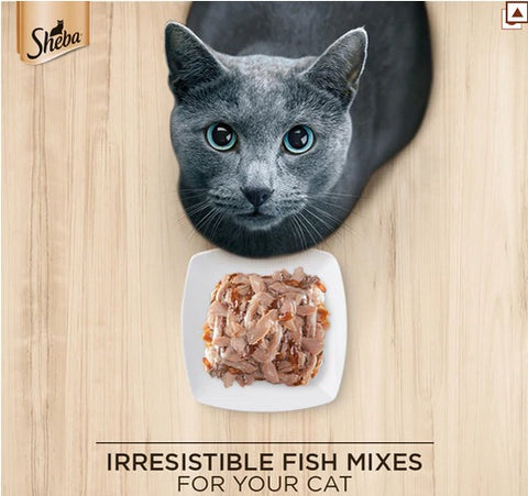 Me-O Delite Tuna with Crab Sticks in Jelly and Sheba Fish with Sasami Premium Cat Wet Food Combo Me-O Delite Tuna with Crab Sticks in Jelly and Sheba Fish with Sasami Premium Cat Wet Food Combo