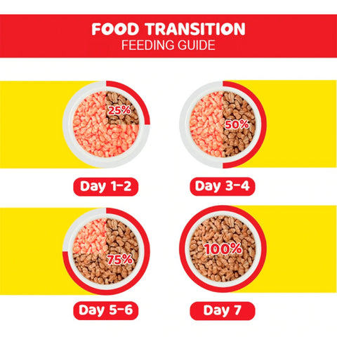 Me-O Salmon Adult Cat Dry Food Me-O Salmon Adult Cat Dry Food